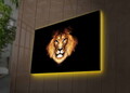 Tablou decorativ cu lumina LED, 4570DHDACT-045, Dimensiune: 45 x 70 cm, Multicolor