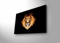 Tablou decorativ cu lumina LED, 4570DHDACT-045, Dimensiune: 45 x 70 cm, Multicolor