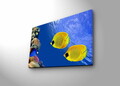 Tablou decorativ cu lumina LED, 4570DHDACT-075, Dimensiune: 45 x 70 cm, Multicolor
