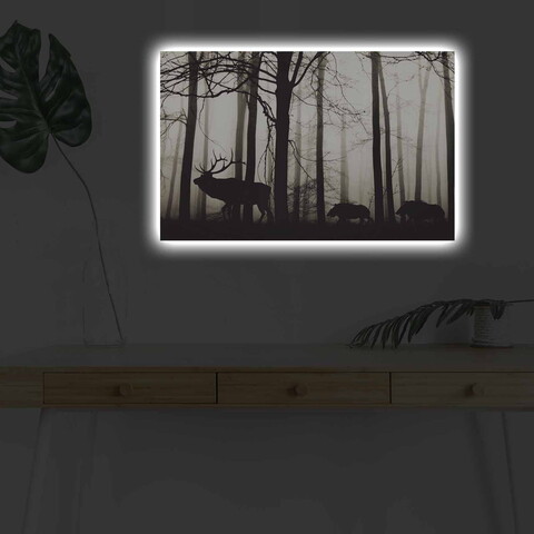 Tablou decorativ cu lumina LED, 4570DHDACT-080, Dimensiune: 45 x 70 cm, Multicolor