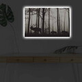 Tablou decorativ cu lumina LED, 4570DHDACT-080, Dimensiune: 45 x 70 cm, Multicolor