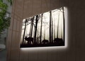 Tablou decorativ cu lumina LED, 4570DHDACT-080, Dimensiune: 45 x 70 cm, Multicolor