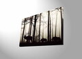 Tablou decorativ cu lumina LED, 4570DHDACT-080, Dimensiune: 45 x 70 cm, Multicolor