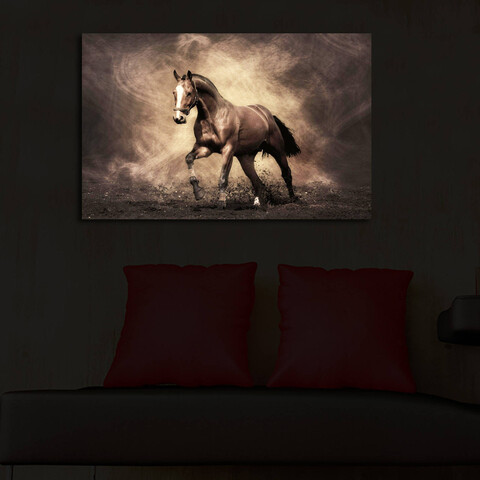 Tablou decorativ cu lumina LED, 4570İACT-40, Dimensiune: 45 x 70 cm, Multicolor