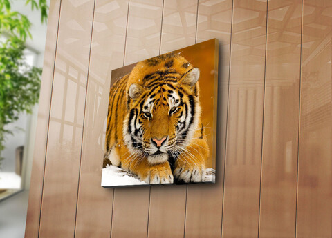 Tablou decorativ, 4545NAT-6, Lemn (Grosime: 3 cm, Multicolor