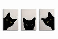 Tablou decorativ (3 Pieces), UDC13, Canvas imprimat, Multicolor