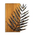Decoratiune de perete, Leaf 3-1, Lățime: 58 cm Înălțime: 50 cm Adâncime: 3 cm, Multicolor