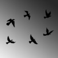 Decoratiune de perete, Flying Birds, Dimensiune: 17 x 17 cm (1 bucată), Negru