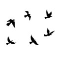 Decoratiune de perete, Flying Birds, Dimensiune: 17 x 17 cm (1 bucată), Negru