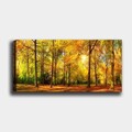 Tablou decorativ, YTY812718_3080, 30 x 80 cm, Multicolor