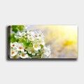 Tablou decorativ, YTYCCK9966_3080, 30 x 80 cm, Multicolor