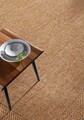 Covor (60 x 100), Rusticana 3107, 60x100 cm, Bej