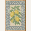 Covor (50 x 80), 276, 50x80 cm, Multicolor