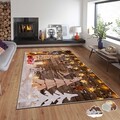 Carpet (80 x 140), Asr, 80x140 cm, Multicolor
