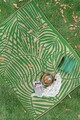Covor (240 x 310), SavanaXL, 240x310 cm, Verde