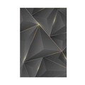 Covor (160 x 230), F5005, 160x230 cm, Aur/Negru