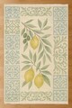 Covor (50 x 80), 274, 50x80 cm, Multicolor