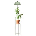 Lampadar, L'essentiel Maison, 780SGN4715, Verde menta
