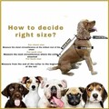 Pelerina de ploaie a câinelui, L'essentiel Maison, Daily, Maro