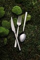 Set tacamuri (12 Pieces), L'essentiel Maison, 294HRO1111, Furculiță de masă: 21 x 2,5 cm (4 bucăți), Negru