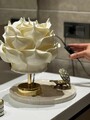 Lampa de masa, L'essentiel Maison, 627GNT1026, Crem / Auriu strălucitor