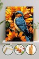 Pictura pe numere, L'essentiel Maison, Phs089, Multicolor