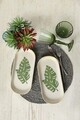 Set platouri servire (2 Pieces), L'essentiel Maison, 275KRM2278, Alb/Verde