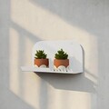 Raft de perete, Hanah Home, Vlnt127Byz, 31x15 cm, Alb
