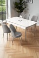 Set masă și scaune extensibile (5 Pieces), Hanah Home, Severă, Alb / Crom / Gri