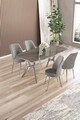Set masă și scaune (5 bucăți), Hanah Home, Lena, Antracit / Crom / Gri