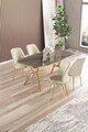 Set masă și scaune (5 bucăți), Hanah Home, Lena, Antracit / Auriu / Crem
