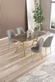 Set masă și scaune (5 bucăți), Hanah Home, Lena, Antracit / Auriu / Gri