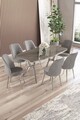 Set masă și scaune (7 piese), Hanah Home, Lena, Antracit / Crom / Gri