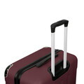 Troler Swiss Hufeisen, 43x27x65 cm, 65 L, plastic, visiniu