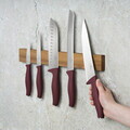 Set 5 cutite cu suport magnetic Berlinger Haus, Leonardo, inox/lemn, visiniu mat/natur