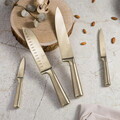 Set 4 cutite Berlinger Haus, Sahara/Leonardo, inox, auriu