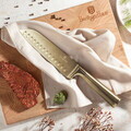 Set 4 cutite Berlinger Haus, Sahara/Leonardo, inox, auriu