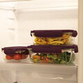 Set 3 caserole cu capac Berlinger Haus, Leonardo, 570 ml / 840 ml / 1.18 L, sticla/plastic, transparent/visiniu