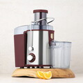 Storcator de fructe Berlinger Haus, Leonardo, 500W, 600 ml, inox, visiniu mat/argintiu