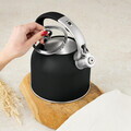Ceainic Berlinger Haus, Matte Black, 3 L, inox 18/10, negru mat/argintiu