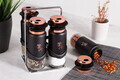 Set 4 recipiente pentru condimente si suport Berlinger Haus, Black Rose, inox/sticla, negru/roz