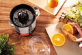 Storcator electric de citrice Berlinger Haus, Burgundy, 40W, 700 ml, plastic/inox, rosu/transparent