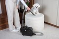 Aspirator pentru ingrijirea animalelor de companie Berlinger Haus, Black Rose, 350W, 2.2 L, negru