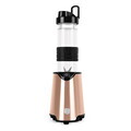 Blender pentru smoothie Berlinger Haus, Rose Gold, 300W, 570 ml, inox/plastic, roz