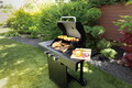 Gratar cu gaz Berlinger Haus, Outdoor, 50x41.5 cm, 2.2 KW x 3, negru
