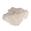 Bol decorativ, Bloomingville, Aiku, 38x29x7 cm, sticla, natural