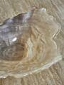 Bol decorativ, Bloomingville, Aiku, 38x29x7 cm, sticla, natural
