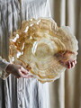 Bol decorativ, Bloomingville, Asimi, 38x8 cm, sticla, natural
