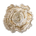 Bol decorativ, Bloomingville, Asimi, 38x8 cm, sticla, natural