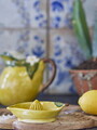 Storcator lamaie, Bloomingville, Limone, 15.5x10.5x5 cm, 160 ml, ceramica, galben